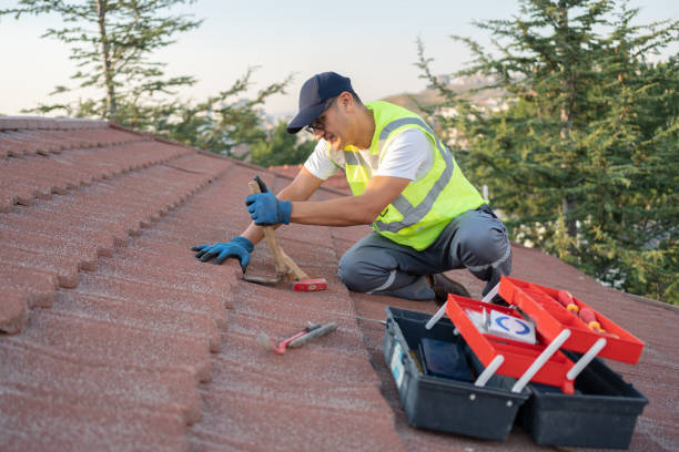 Best Metal Roofing Contractor  in Poinciana, FL